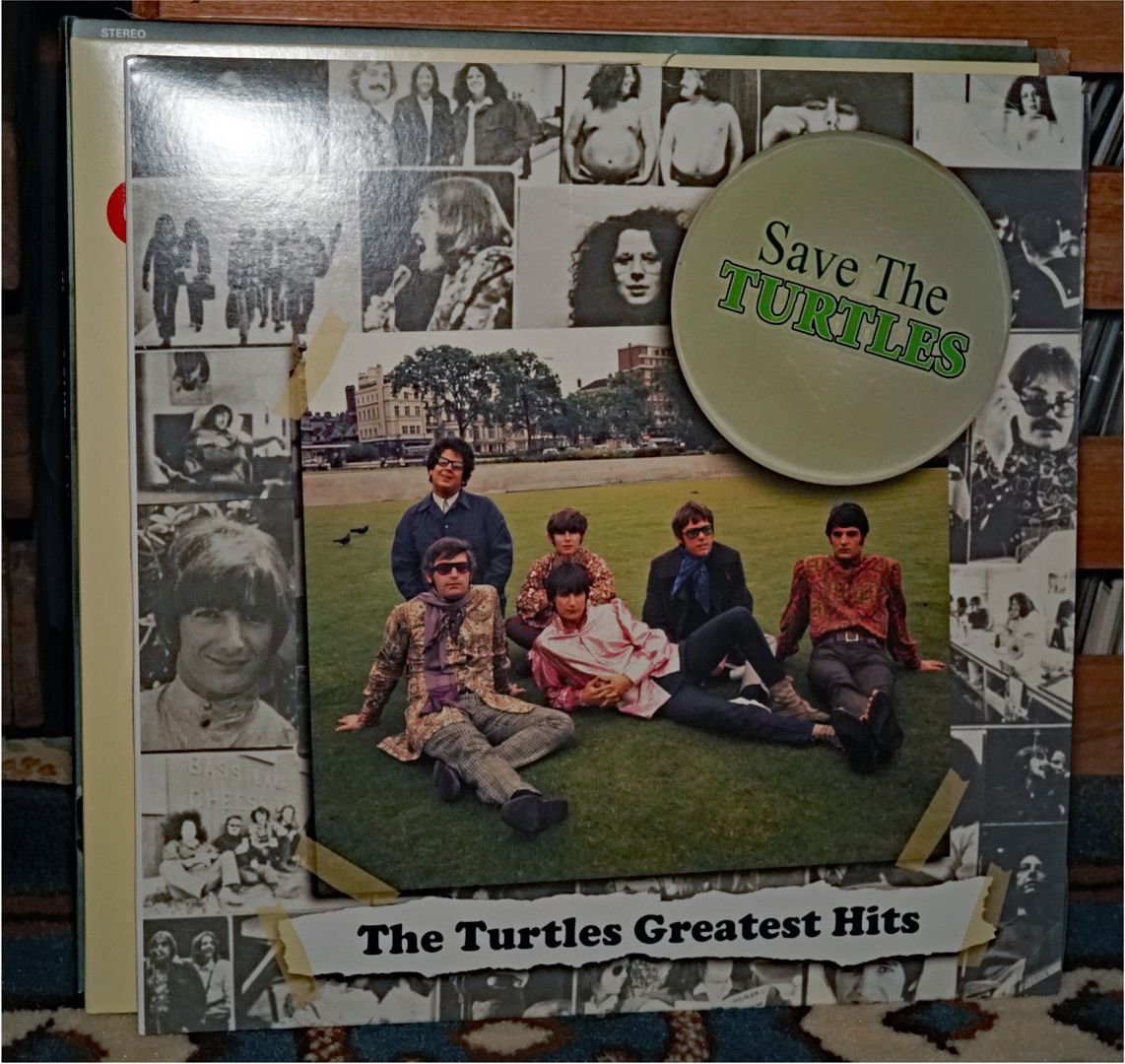  photo Turtles - Save the Turtles 1_zpsvqw5y9kx.jpg