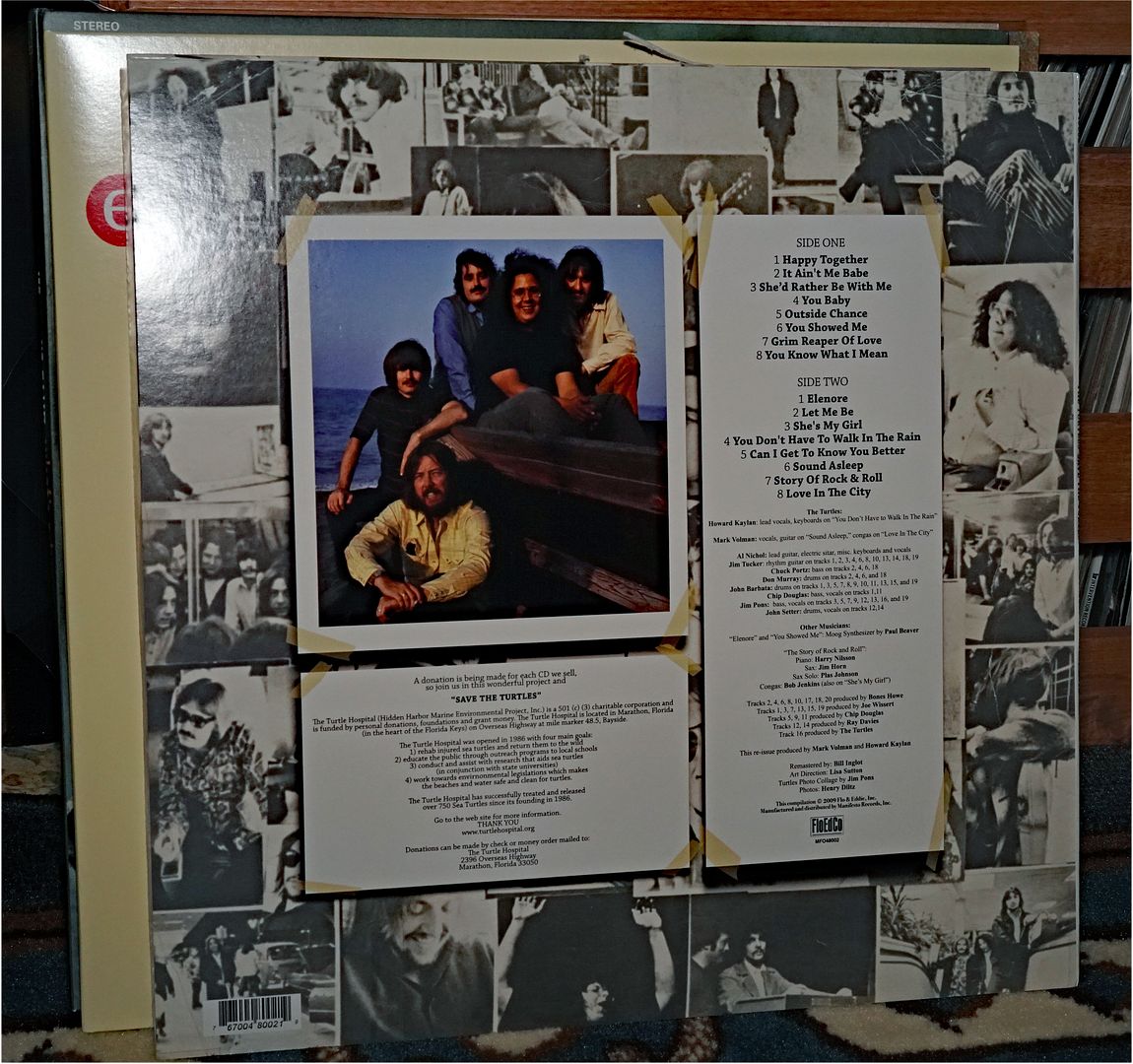  photo Turtles - Save the Turtles 2_zpsooeww9ys.jpg