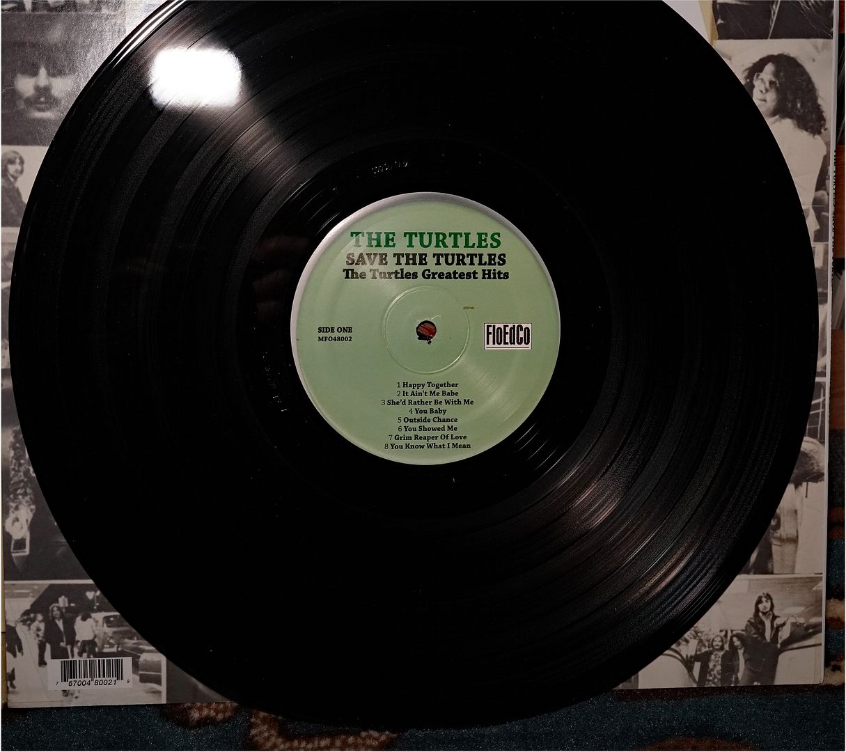  photo Turtles - Save the Turtles_zpsfvx4uaqm.jpg