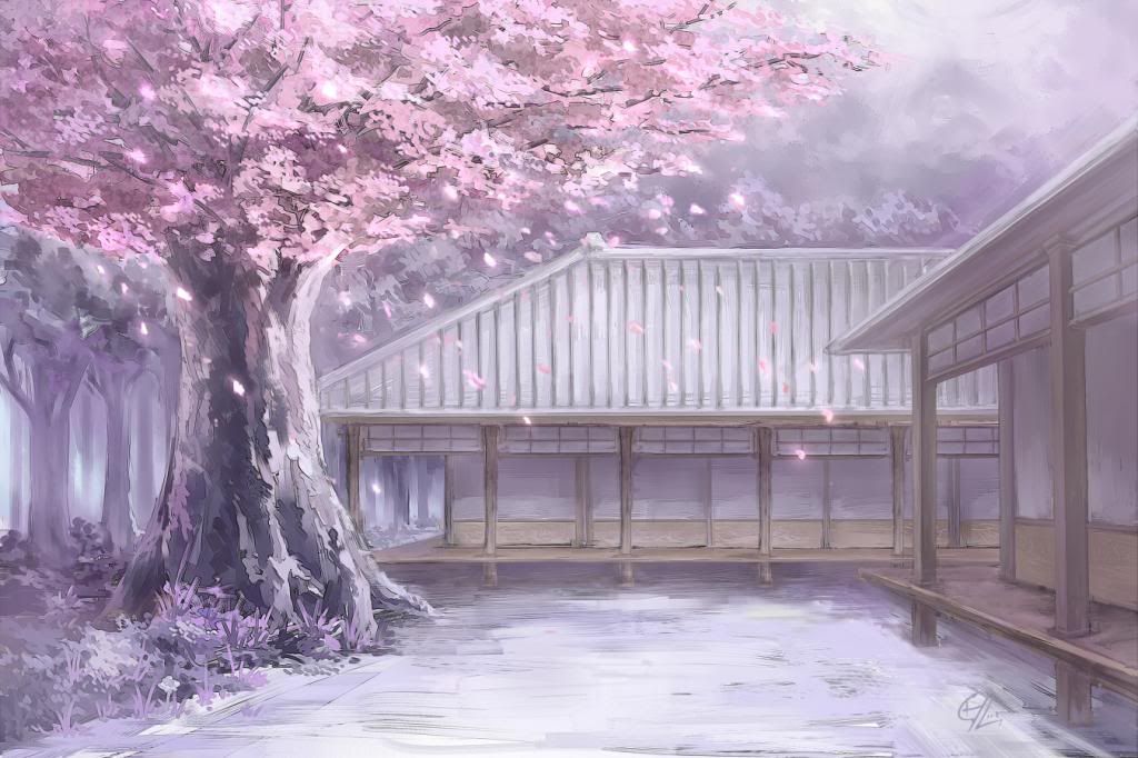 Konachancom-105259czcherry_blossomspetalsscenictouhoutree_zpsc5b9ea34.jpg~original