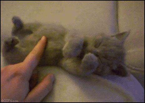 Moving-animated-picture-of-tired-kitty-cat_zpsb40f0e16.gif