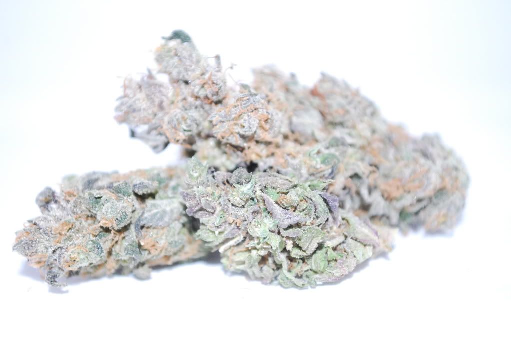 plum kush