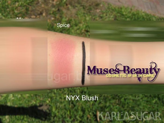 Nyx Spice Blush