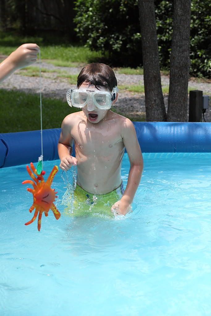 IMAGE: http://i1191.photobucket.com/albums/z467/photomom2one/IMG_3995JPGc.jpg