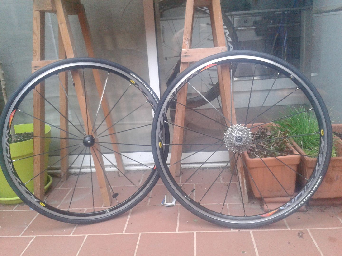  photo 20150915_193628_zpsq2vzhxd5.jpg