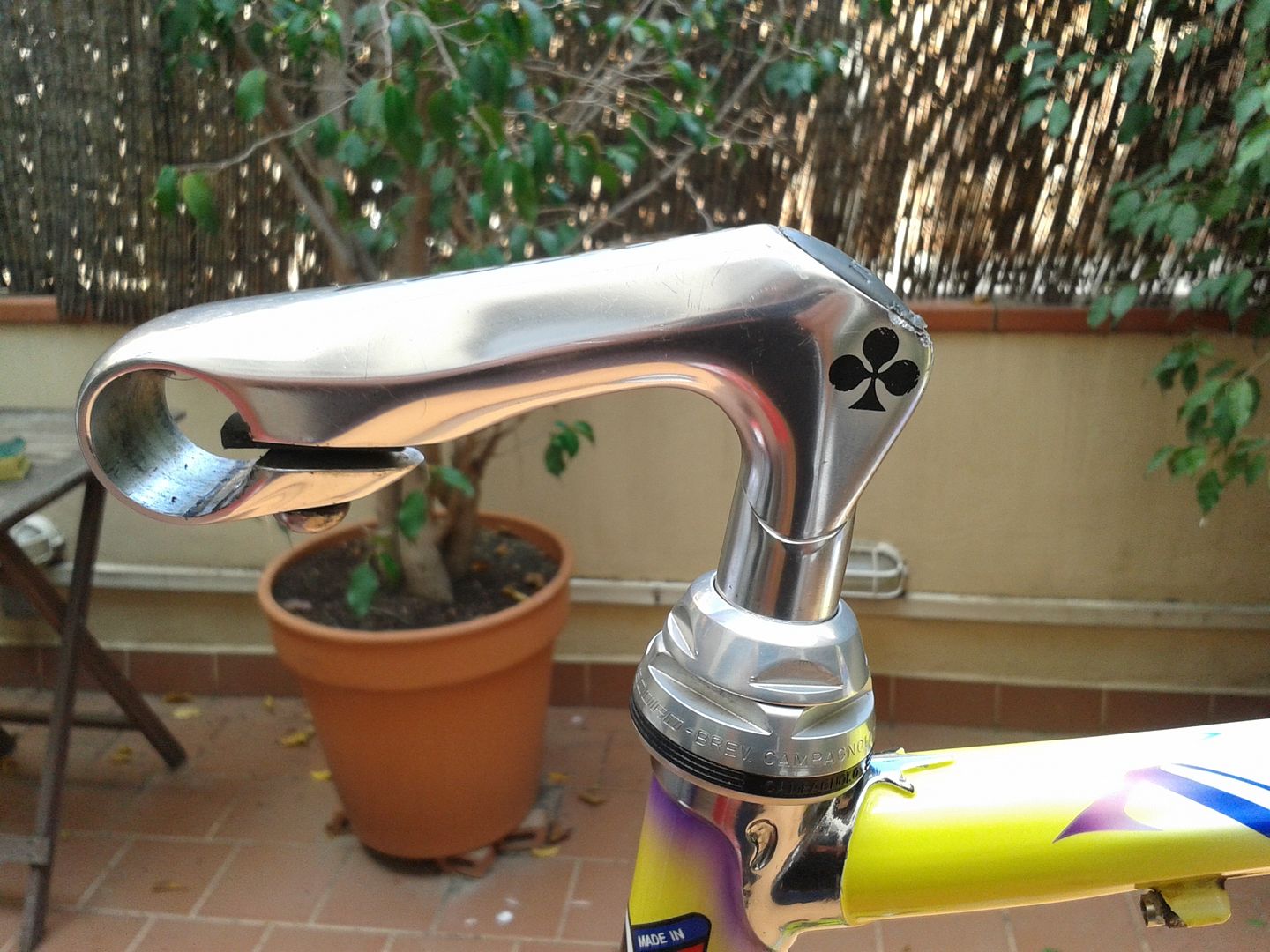 photo 20150921_145951_zpspn6dz7iu.jpg