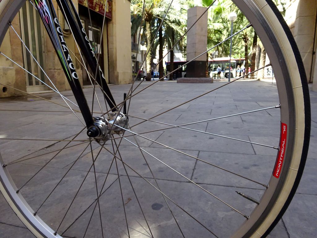 photo DSC04525_zpsniv2tqf5.jpg