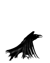fun photo: fun bird10.gif