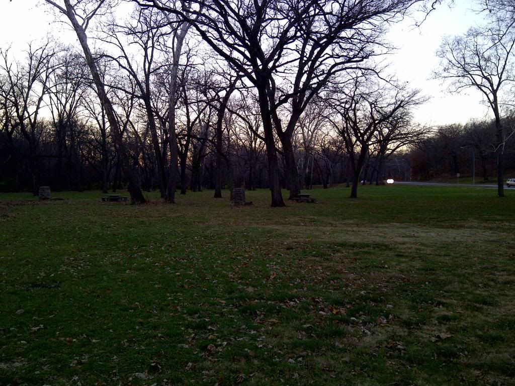 IMG-20121112-00004.jpg