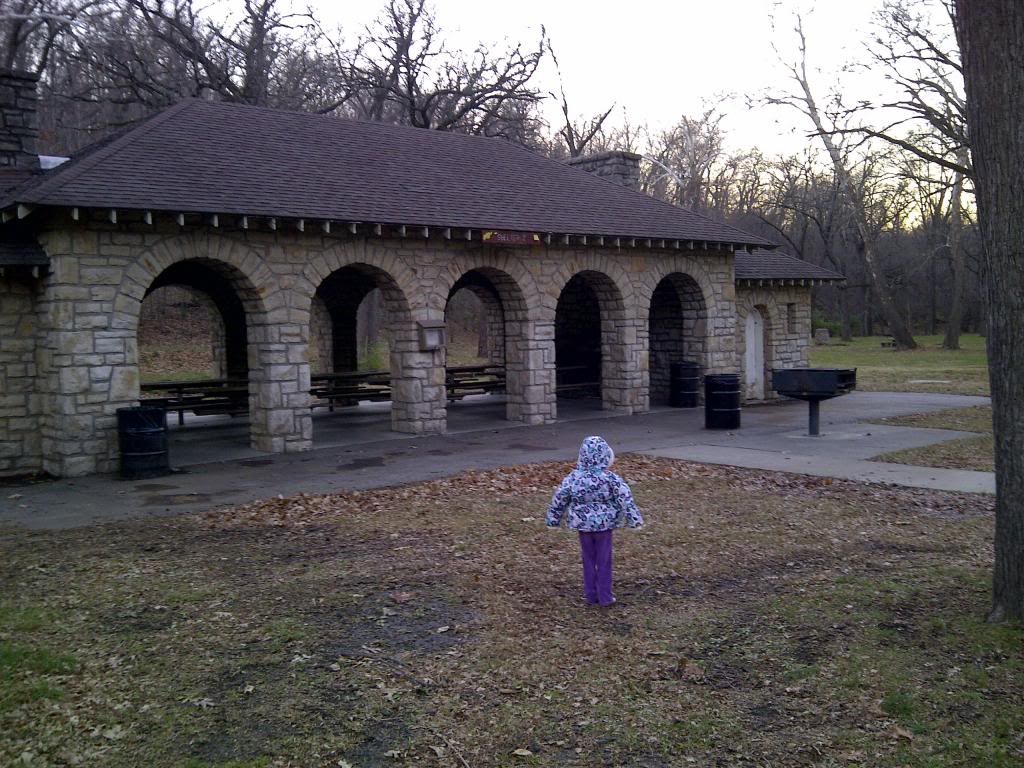 IMG-20121112-00012.jpg