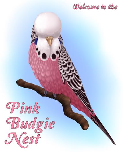 PinkBudgie3.jpg