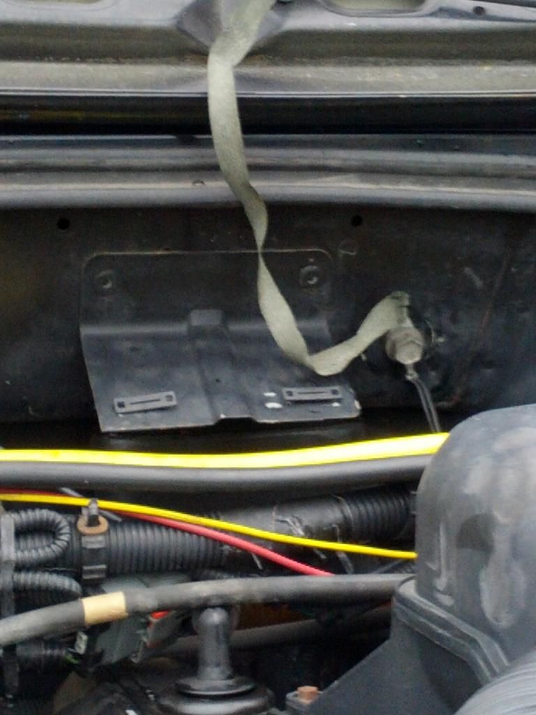 Where to Buy Engine Bay Zip Ties?