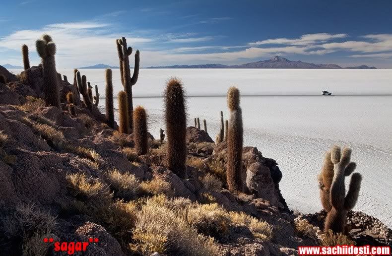 1 63 - World Salt Flat