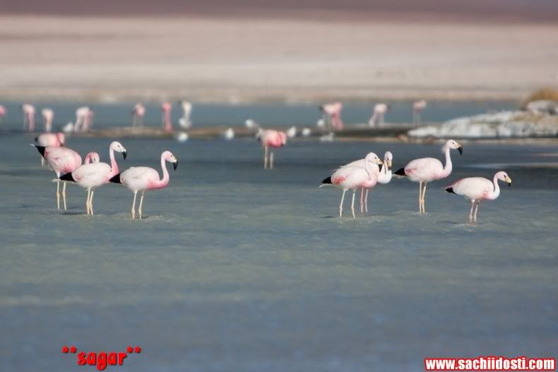 30 4 - World Salt Flat