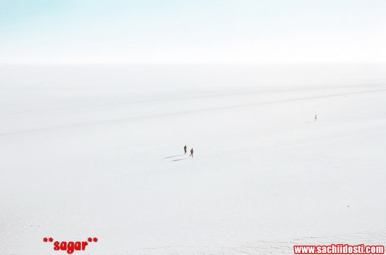 4 61 - World Salt Flat