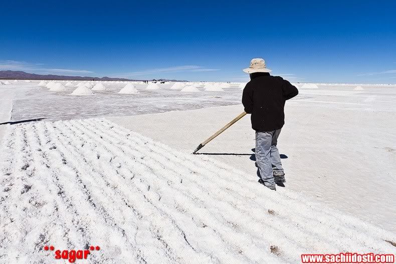 6 56 - World Salt Flat