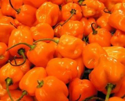 Habaneros