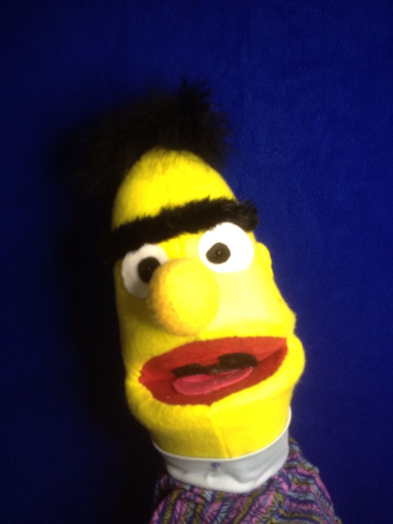 bert puppet sesame street