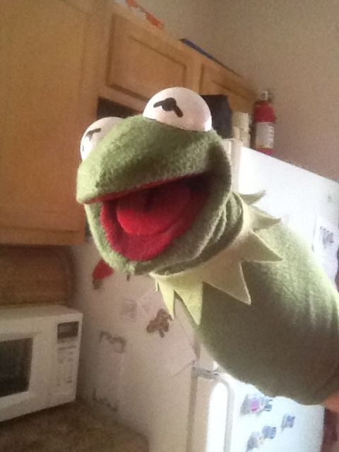 FS: Home-Made Frog Puppet | Muppet Central Forum