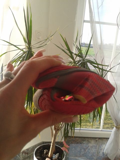 Bild
