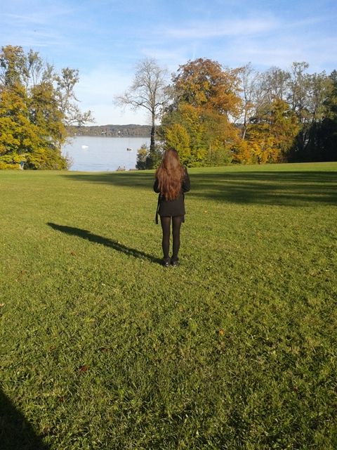 Bild