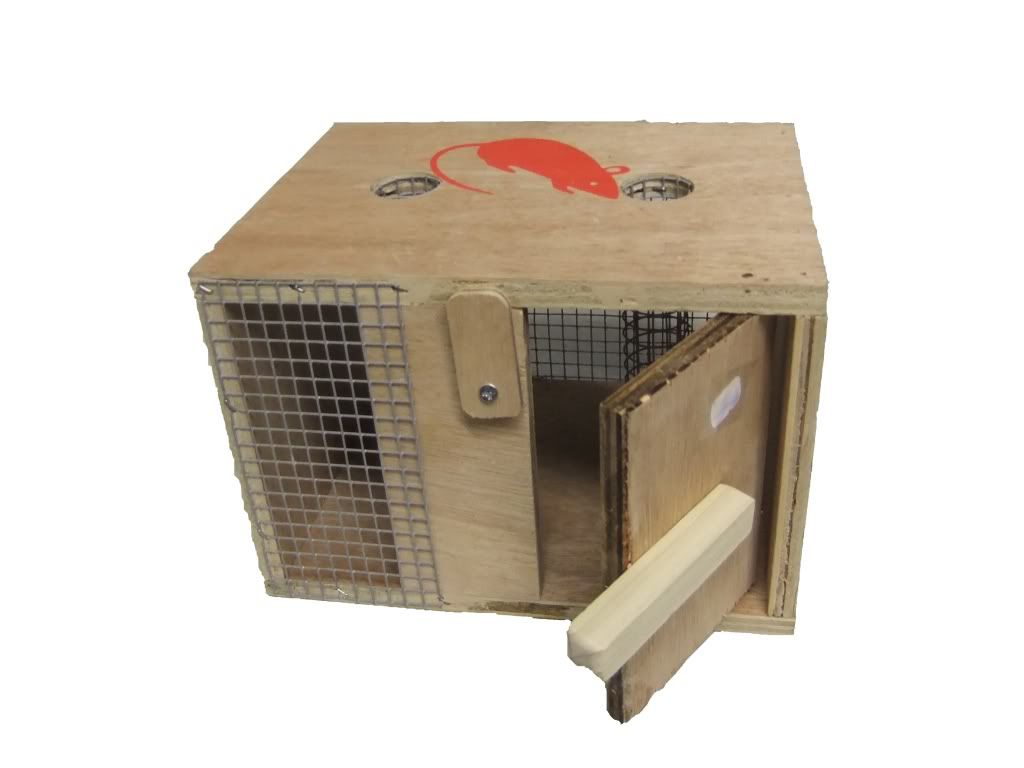 Box Rabbit Trap http://www.ebay.co.uk/itm/Humane-Wooden-Mouse-Trap 