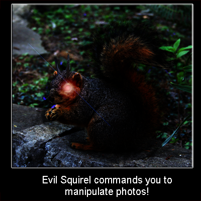 [Imagine: squirrelibykelbellestocv2-small.png]