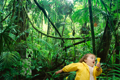 jungle creeper