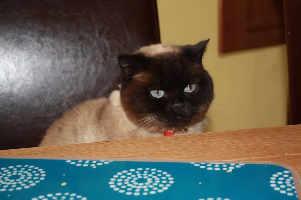 1005091309-Marie.jpg