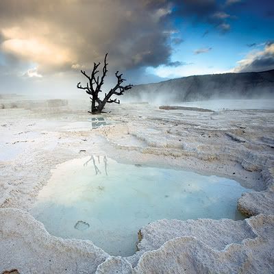 Tujuh mata air terpanas didunia - Mammoth Hot Springs: largest carbonate-depositing spring in the world