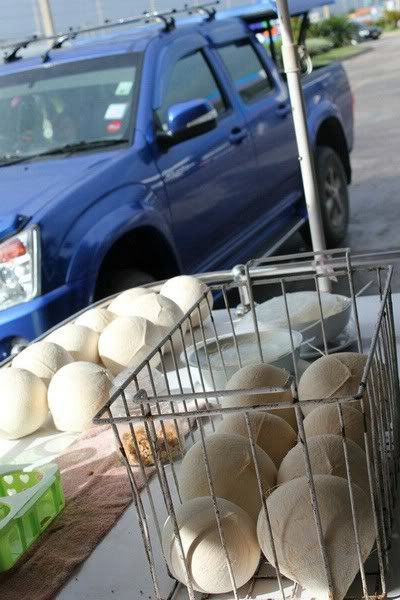 Cần anh em chia sẻ kinh nghiệm đi phượt Thái Lan - 35