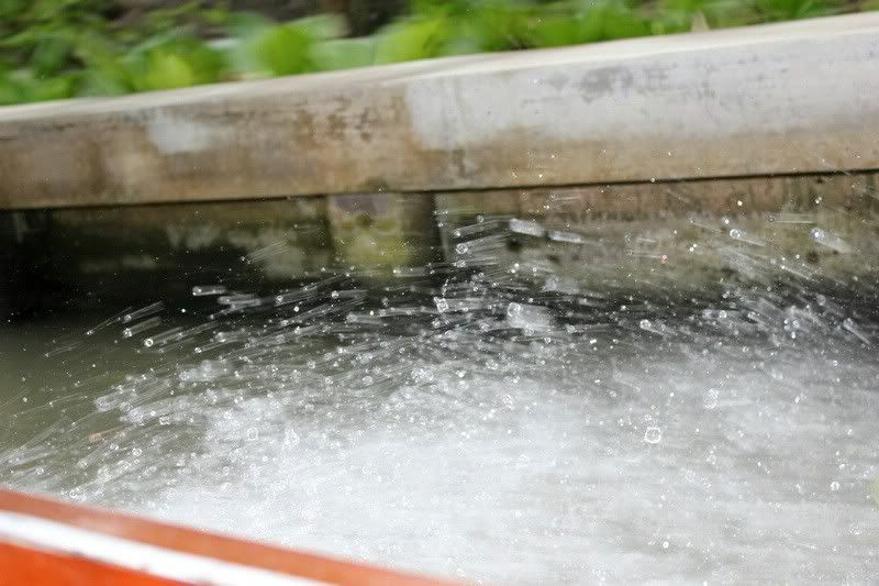 Cần anh em chia sẻ kinh nghiệm đi phượt Thái Lan - 44