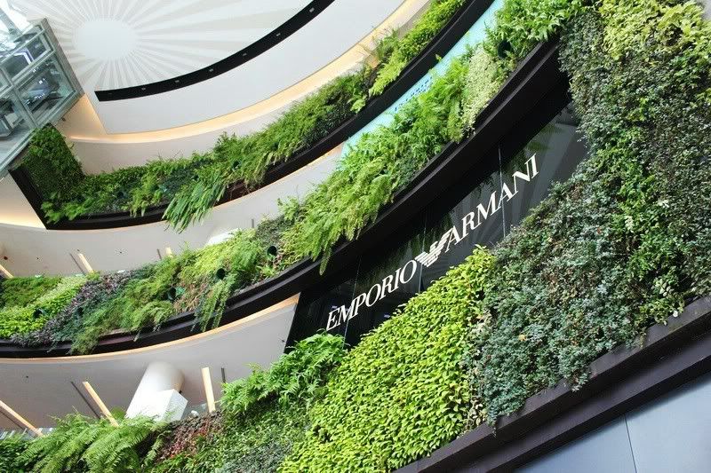 Cần anh em chia sẻ kinh nghiệm đi phượt Thái Lan - 14