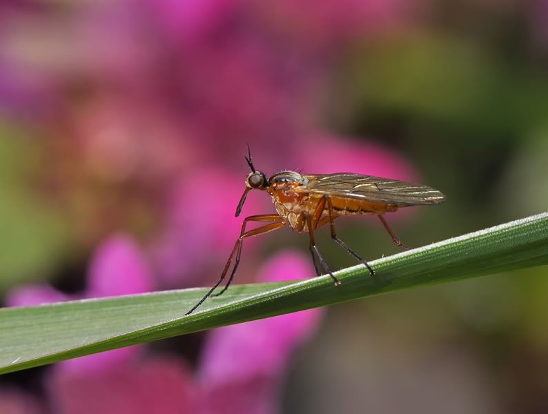 DSC_0199.jpg