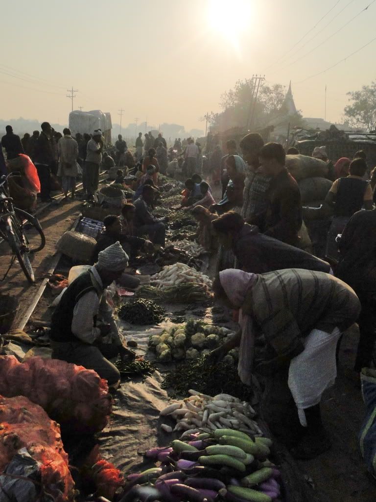 Janakpur fresh vegetable market nepal janakpur market
