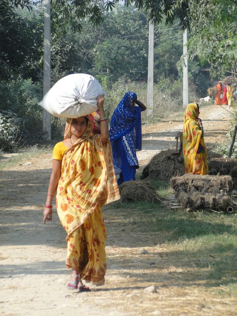 Hindu women sari nepali women janakpur