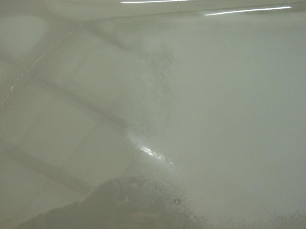 DSCN1048.jpg