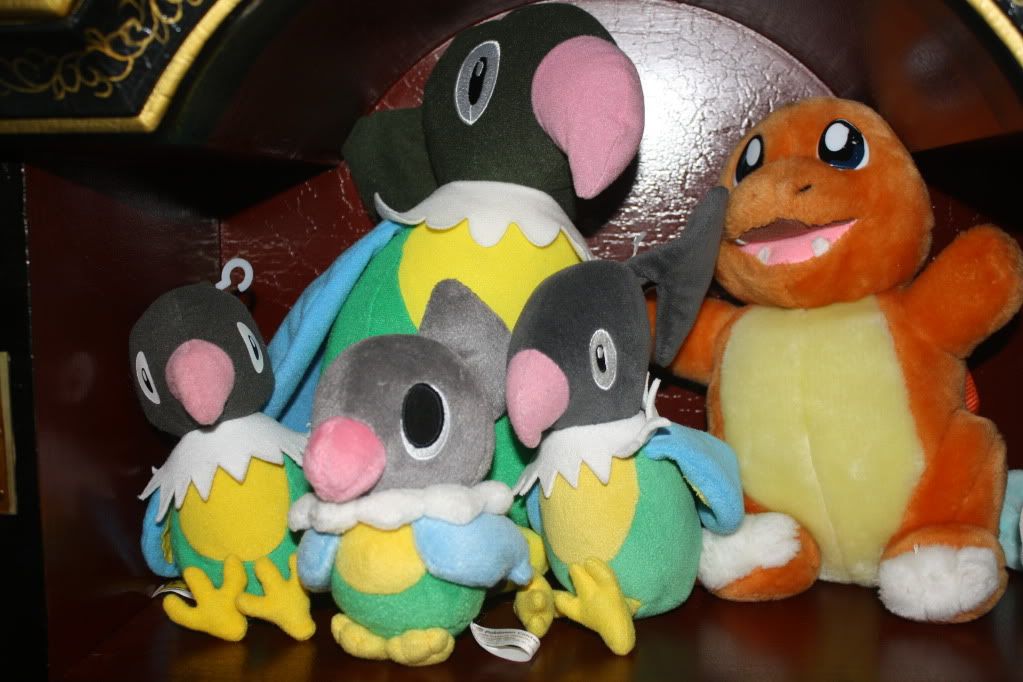 chatot pokedoll