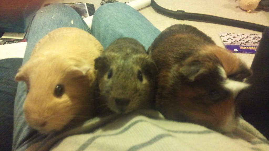DSC00139.jpg