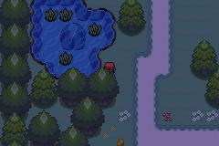 [PokeCommunity.com] Pokemon Dragon Master