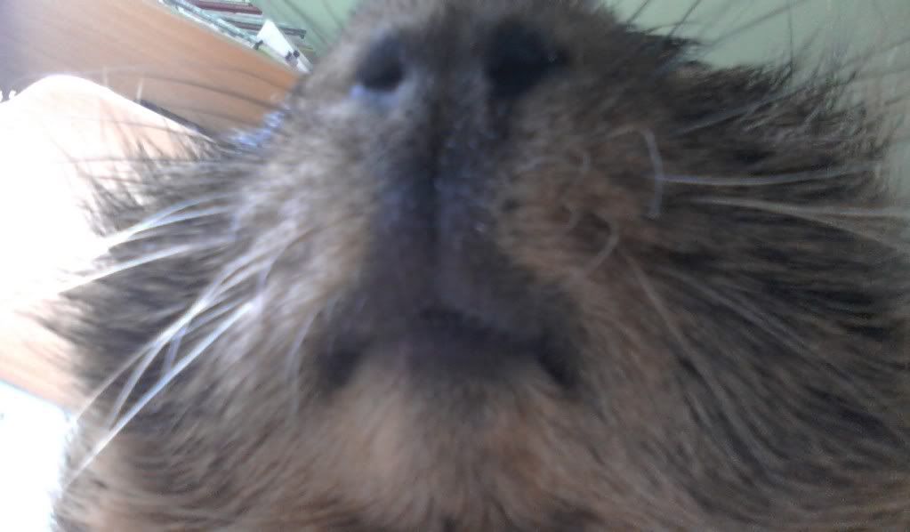 IMAG0270.jpg